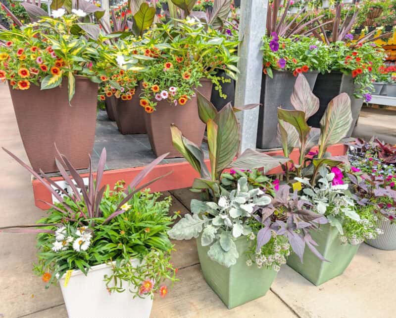 Patio Planters at Countryside Greenhouse